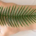 Massage Californien